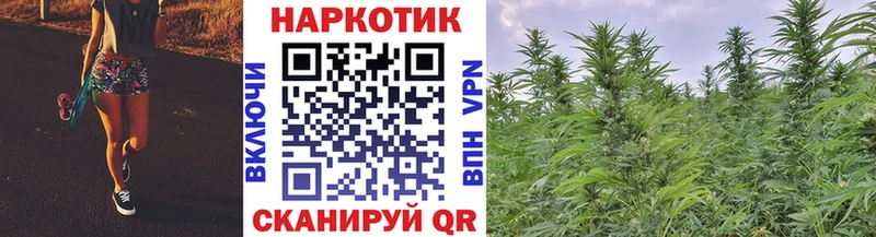 Где продают наркотики Няндома Alpha-PVP  Каннабис  Псилоцибиновые грибы  АМФ  Гашиш  МЕФ 