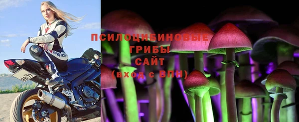 молекула духа Богородицк
