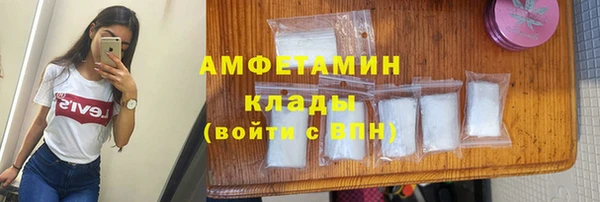 молекула духа Богородицк