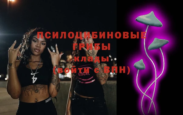 синтетический гашиш Богородск