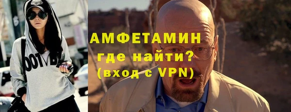 молекула духа Богородицк