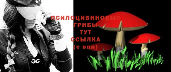 синтетический гашиш Богородск