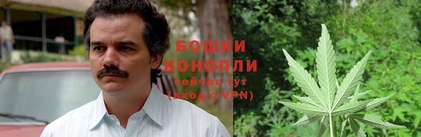 молекула духа Богородицк