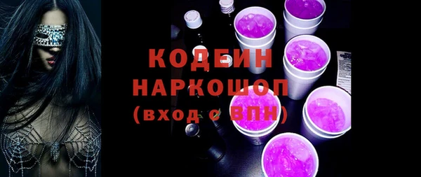 молекула духа Богородицк