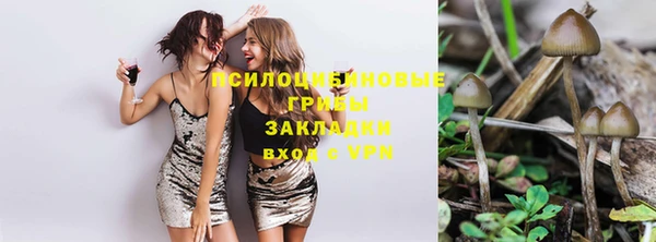 молекула духа Богородицк
