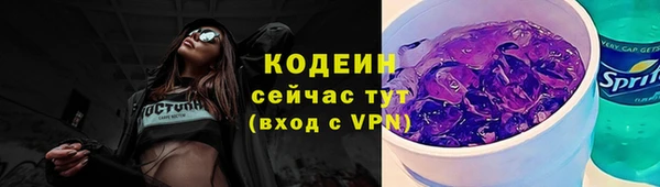 молекула духа Богородицк