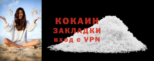 молекула духа Богородицк