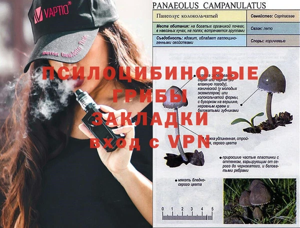 молекула духа Богородицк