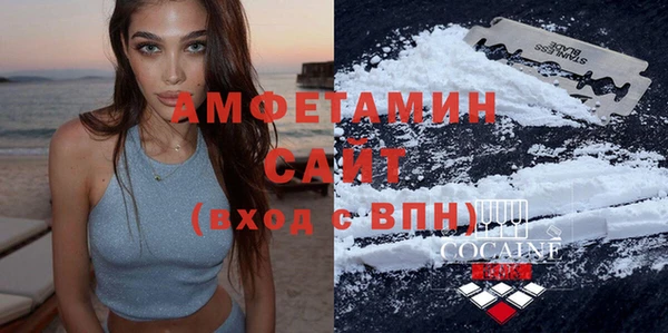 молекула духа Богородицк
