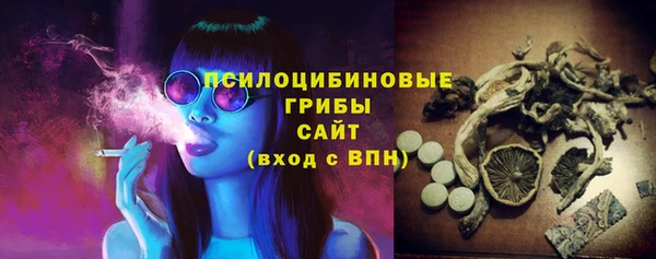 синтетический гашиш Богородск