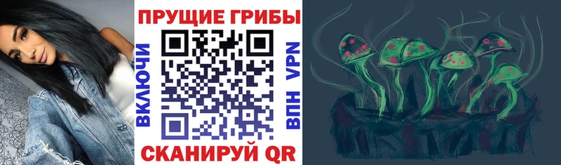 где можно купить наркотик Няндома Псилоцибиновые грибы прущие грибы